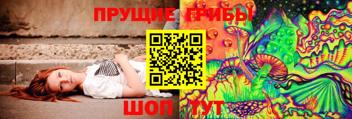 Галлюциногенные грибы Psilocybine cubensis Сарапул