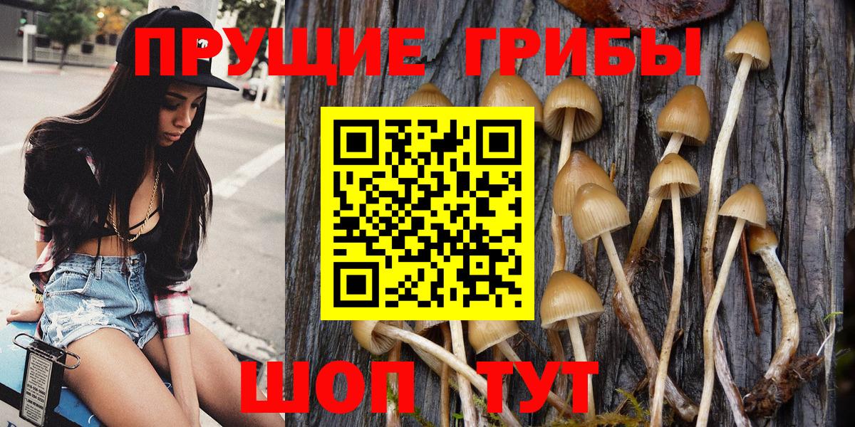Галлюциногенные грибы MAGIC MUSHROOMS  Вход с VPN  Сарапул 